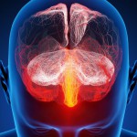 Votre cerveau bientôt contrôlé grâce aux ultrasons?